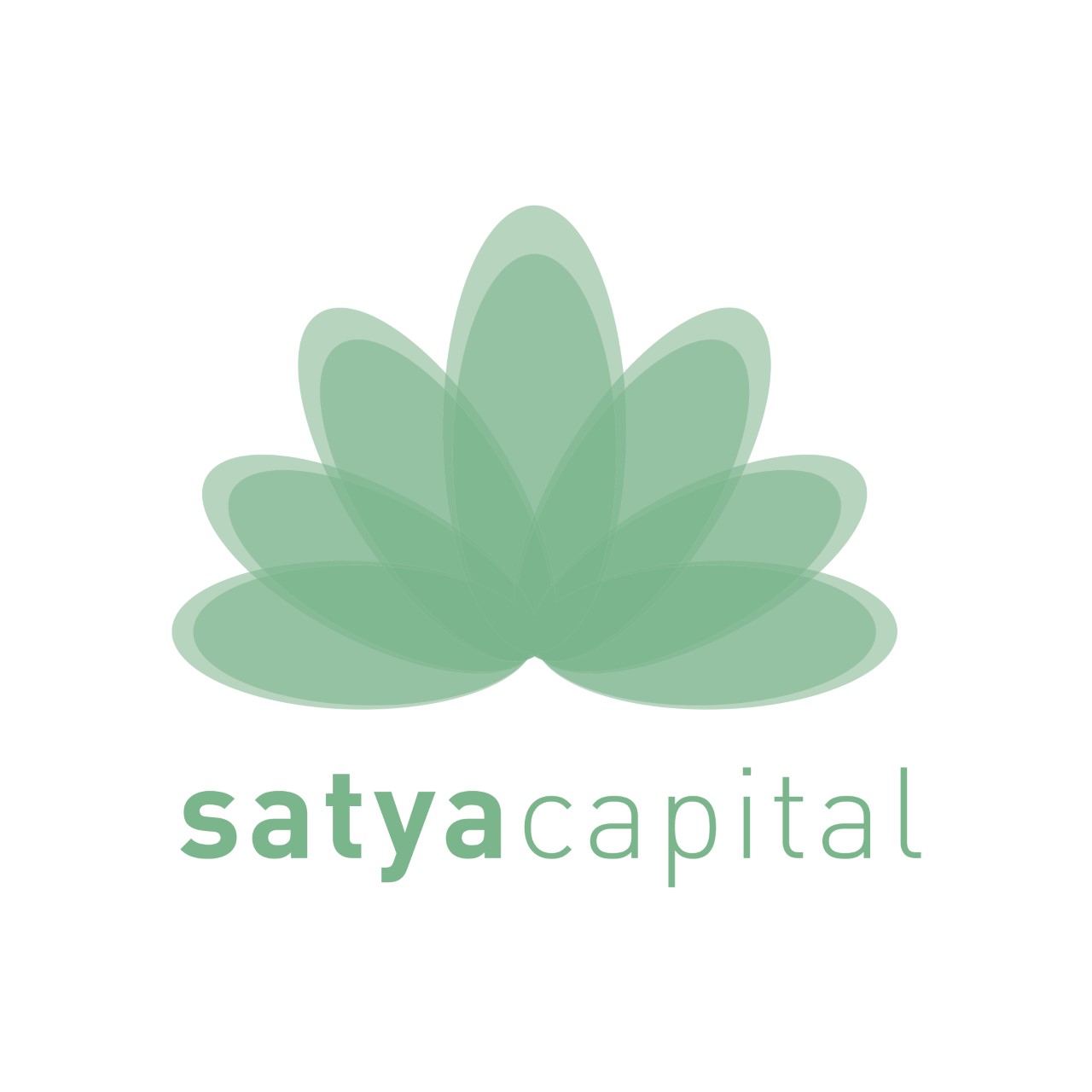 Satya-Capital Sa